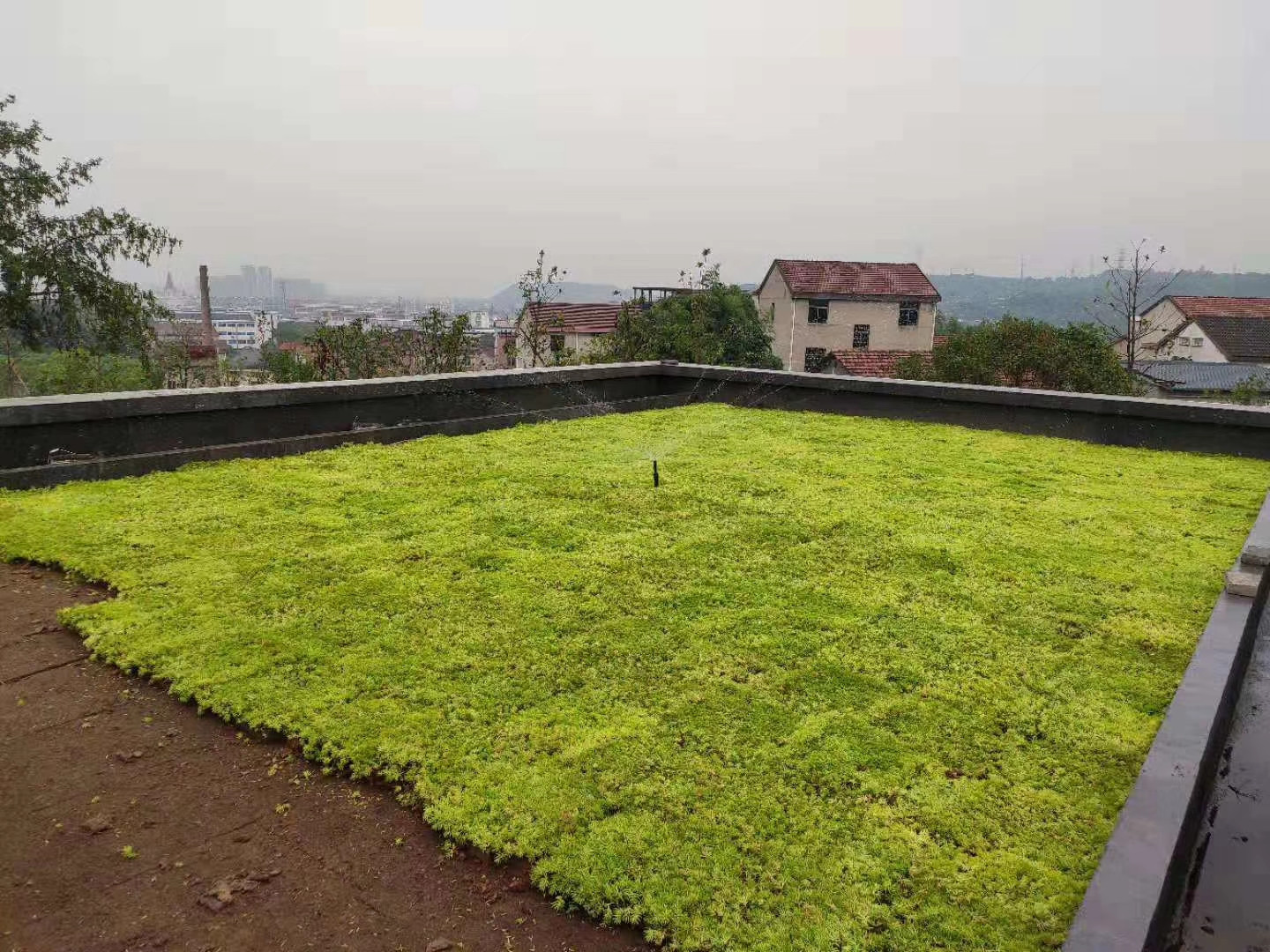 平面屋頂綠化 (2)