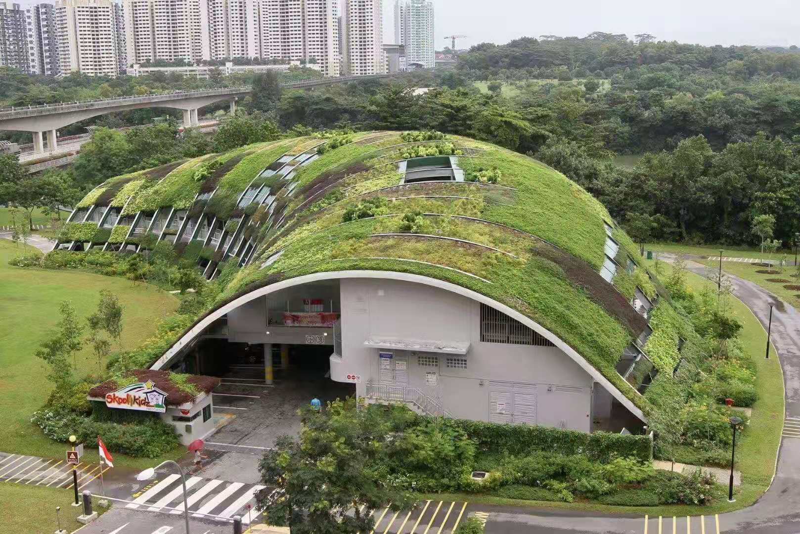 拱型屋頂綠化